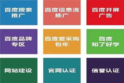 SEM外包助力品牌增长案例解析